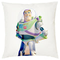 Printed Cushions